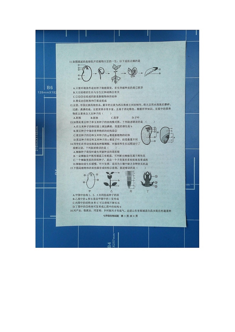 山东省临沂市郯城县2023--2024学年七年级上学期期末生物试题03
