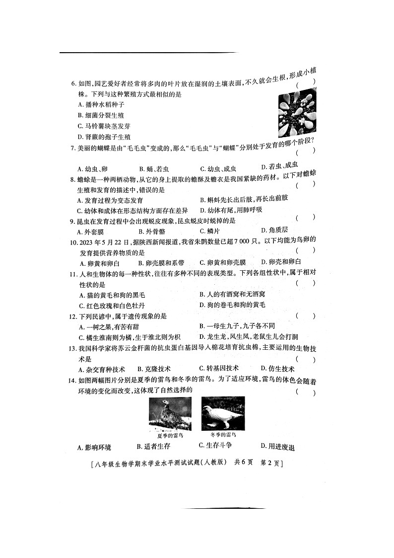 陕西省商洛市商州区2023-2024学年八年级上学期期末生物考试卷+第2页