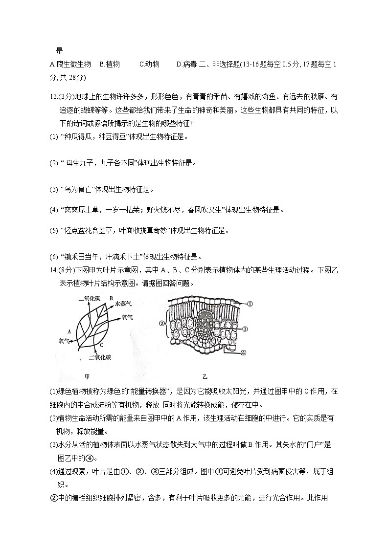 2023-2024学年辽宁省大连市庄河市七年级上册期末生物模拟试题（附答案）03