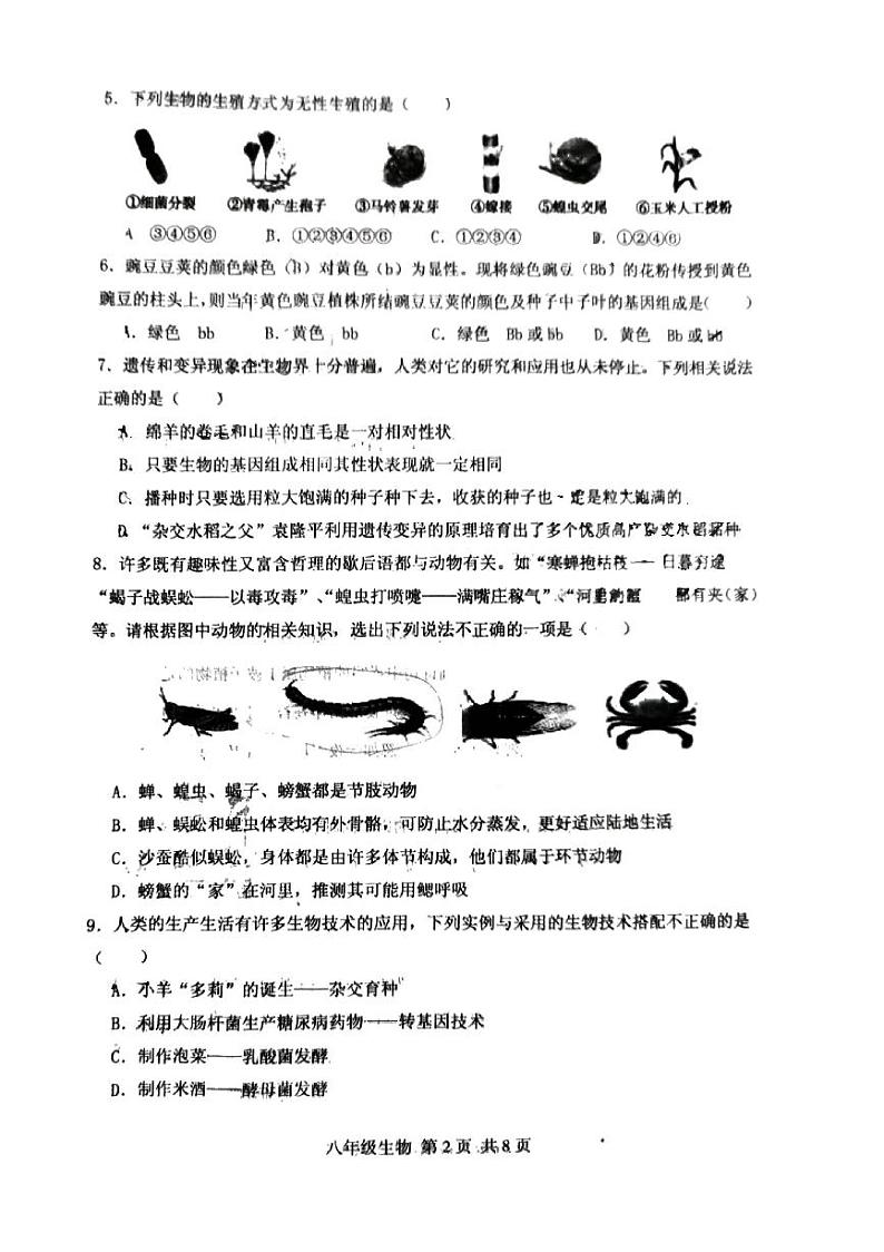 河南省驻马店市上蔡县第一初级中学2023-2024学年八年级上学期期末生物学试题02