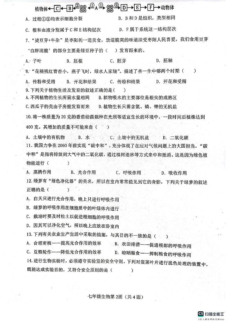 湖北省枣阳市2023-2024学年七年级上学期期末考试生物学试题第2页