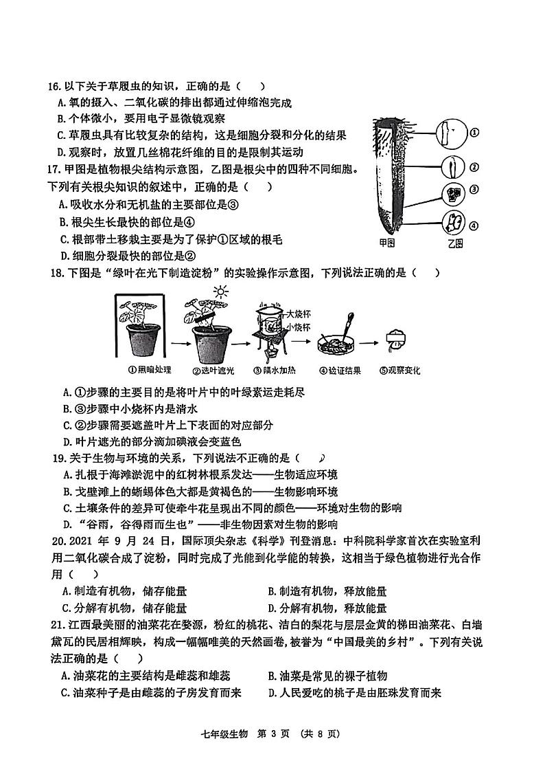 江西省新余市2023-2024学年七年级上学期期末质量监测生物学试题03