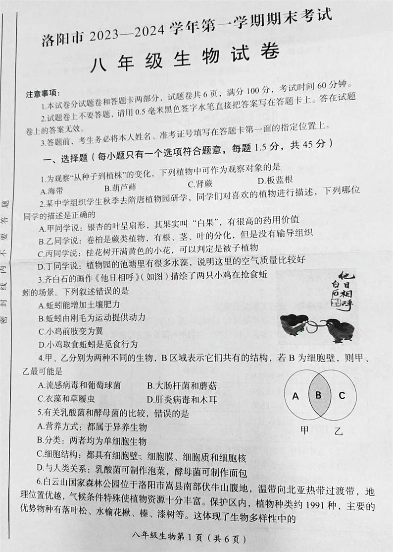 河南省洛阳市2023-2024学年八年级上学期1月期末生物学试题01