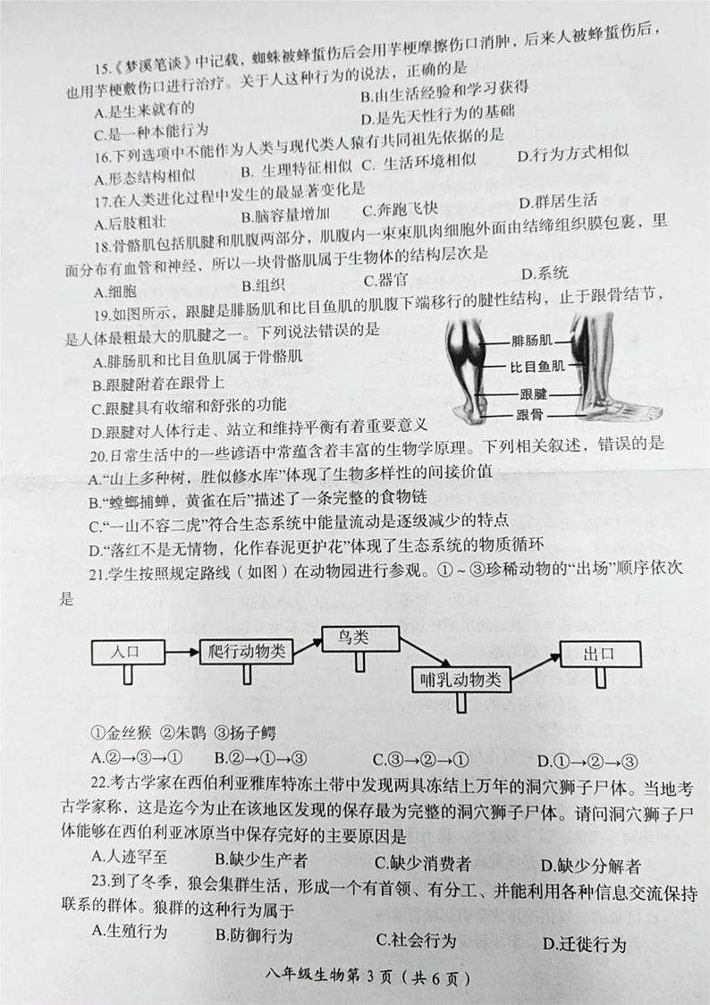 河南省洛阳市2023-2024学年八年级上学期1月期末生物学试题03