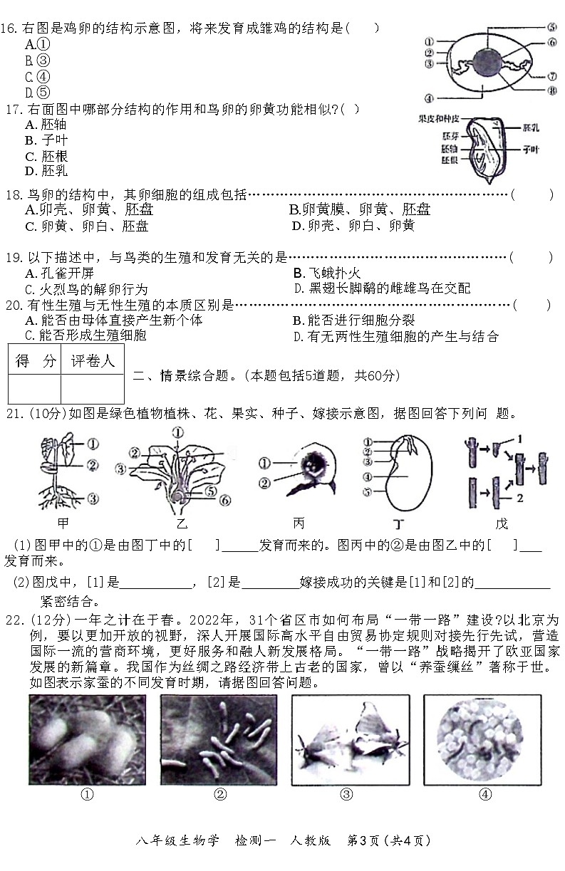 河北省石家庄市赵县2022-2023学年下学期八年级生物教学质量检测试卷(附答案)第3页