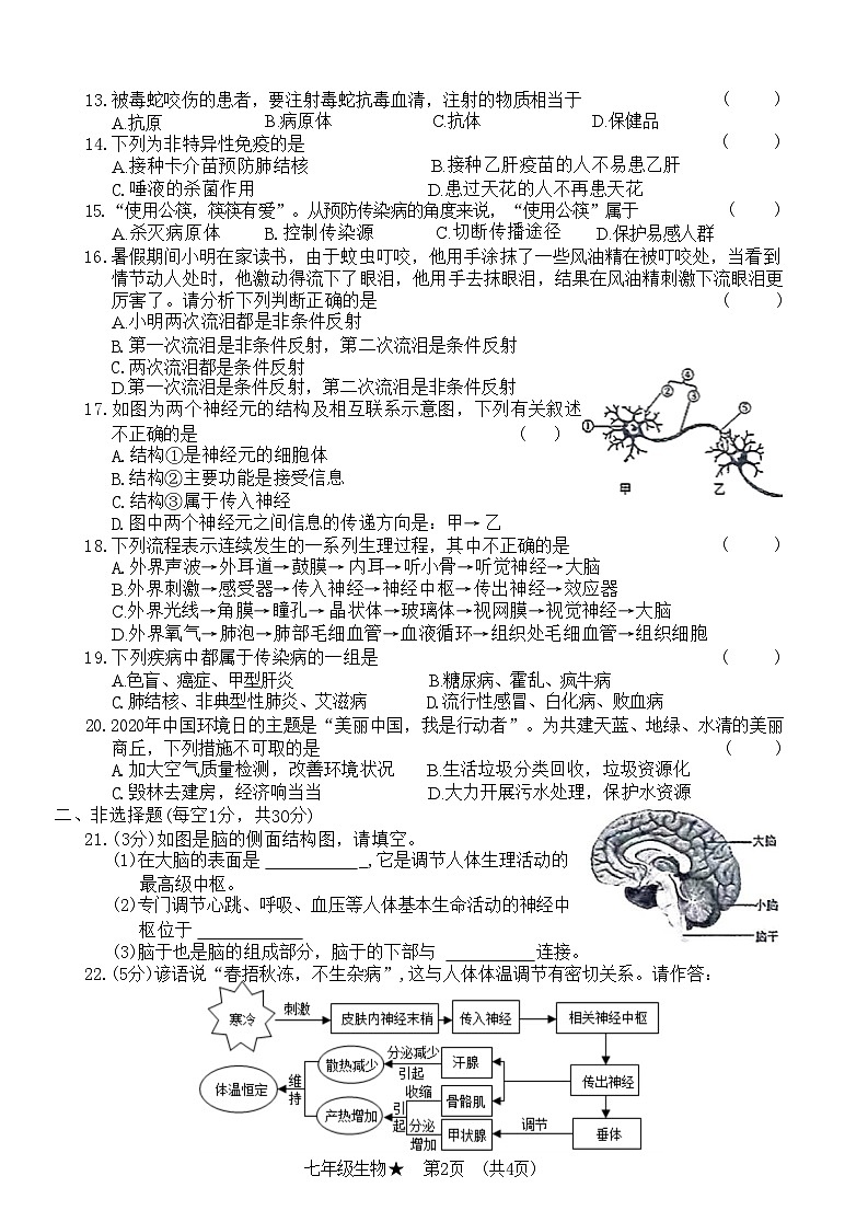 河南省商丘市虞城县2022—2023 学年度七年级生物下学期期末教学质量评估试卷(附答案)第2页