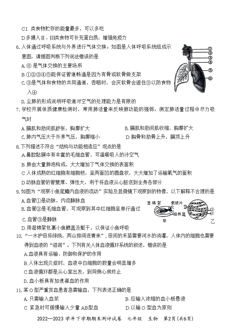 河南省郑州市荥阳市2022—2023学年七年级生物下学期期末测评试卷(附答案)02