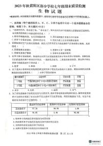 湖北省武汉市黄陂区2023-2024学年七年级上学期期末生物试题