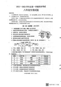 山东省济宁市微山县2022-2023学年八年级上学期期末生物试题