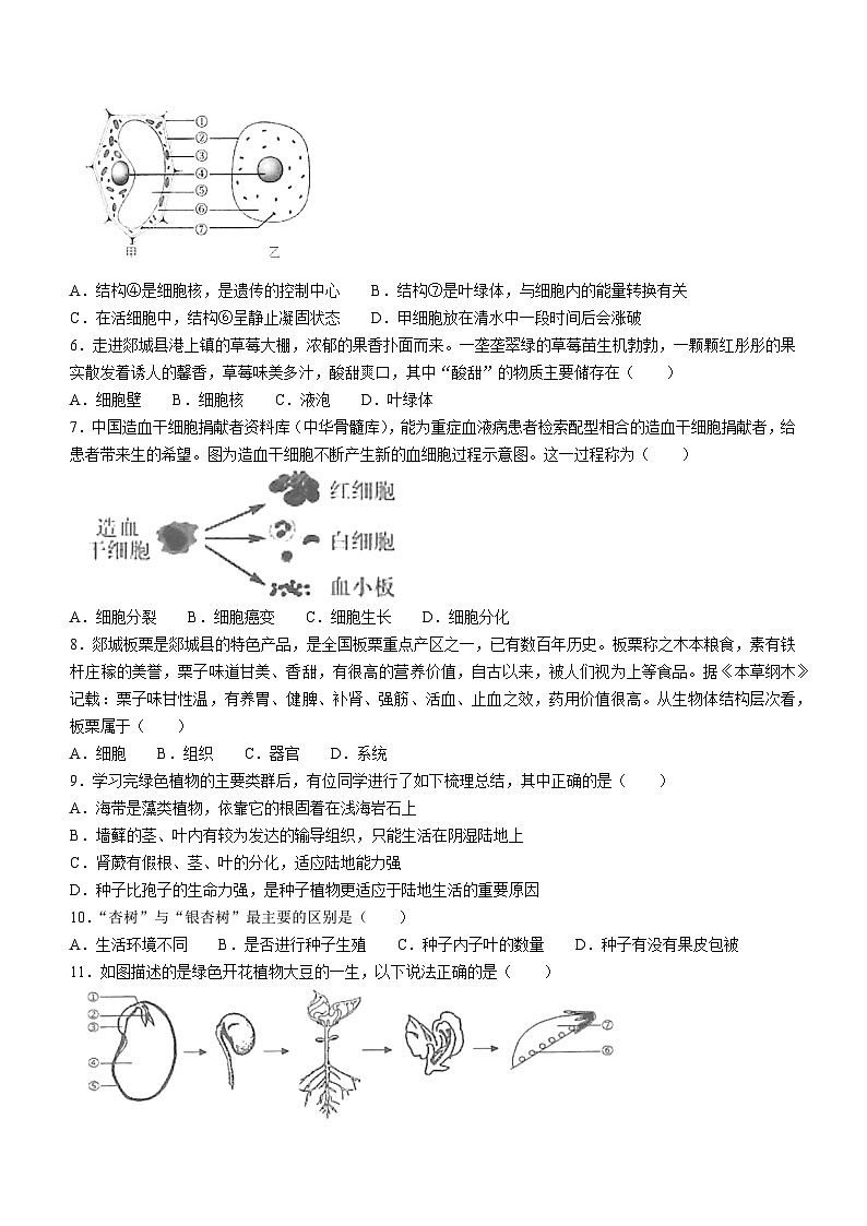 山东省临沂市郯城县2023--2024学年七年级上学期期末生物试题02