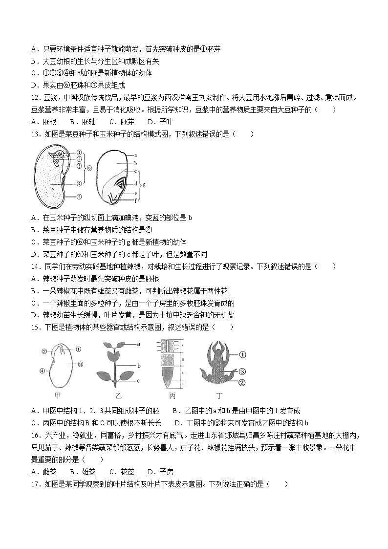 山东省临沂市郯城县2023--2024学年七年级上学期期末生物试题03