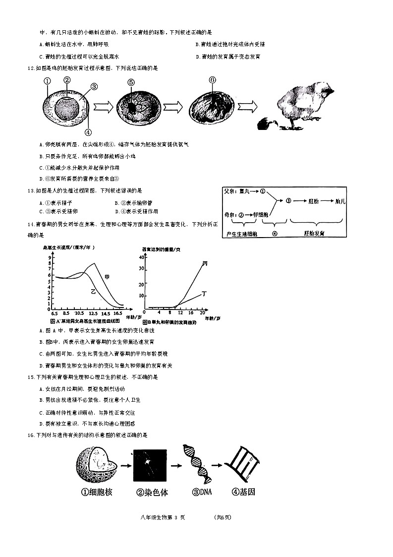 山东省菏泽市曹县2023-2024学年八年级上学期期末生物试题03