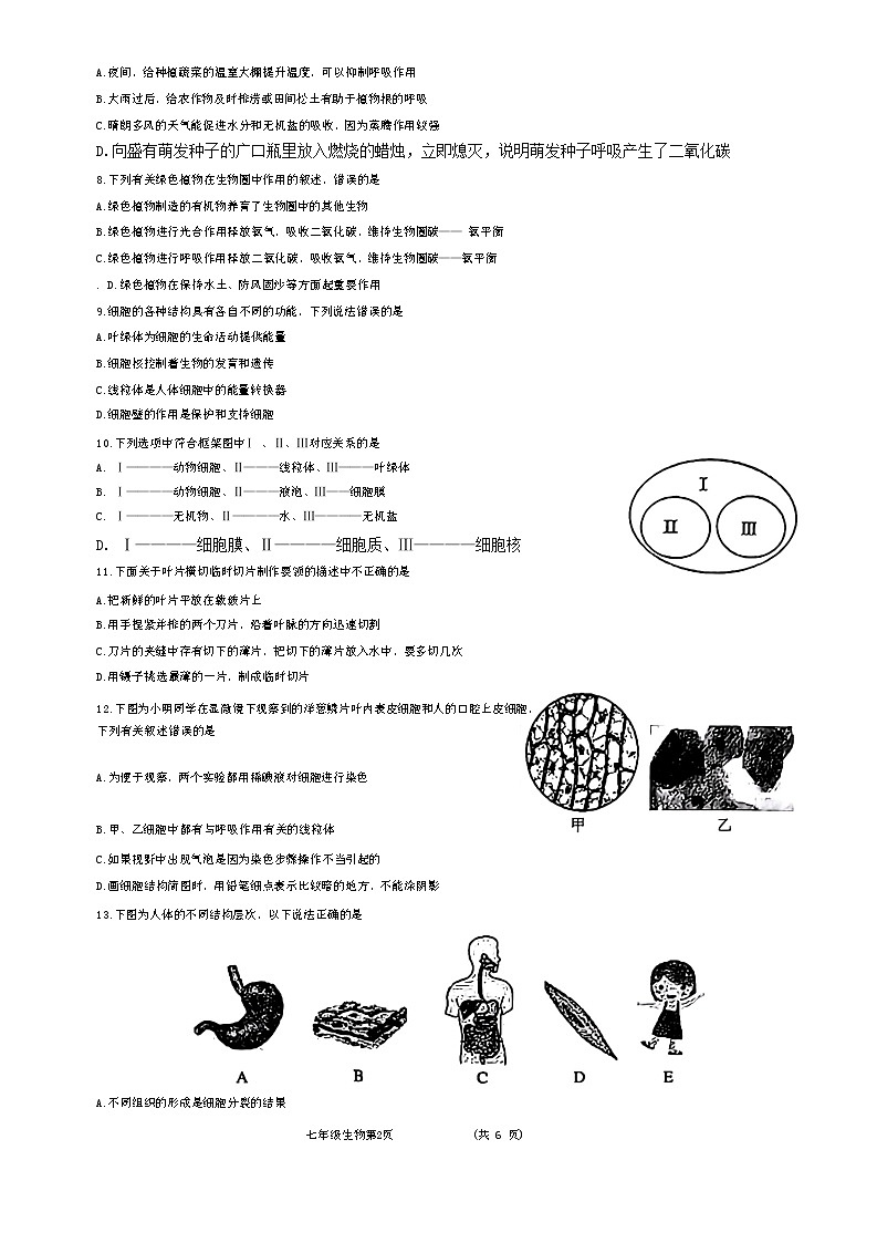 山东省菏泽市曹县2023-2024学年七年级上学期期末生物试题02