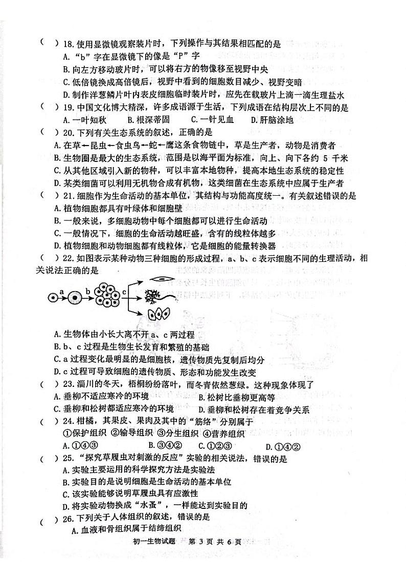 山东省淄博市淄川区2023-2024学年六年级上学期期末生物学试题（无答案）第3页