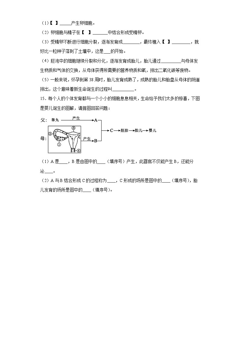 【核心素养】人教版初中生物七年级下册4.1.2《人的生殖》课件＋课时练习＋教案（含教学反思）03