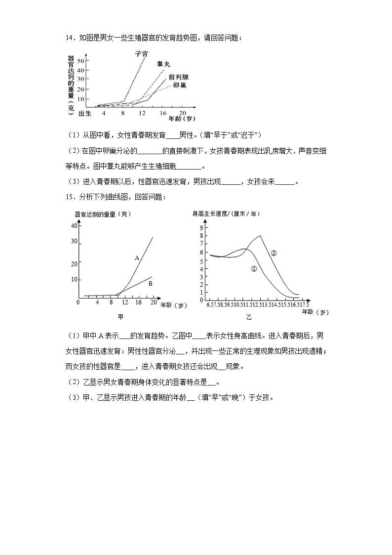 【核心素养】人教版初中生物七年级下册4.1.3《青春期》课件＋课时练习＋教案（含教学反思）03
