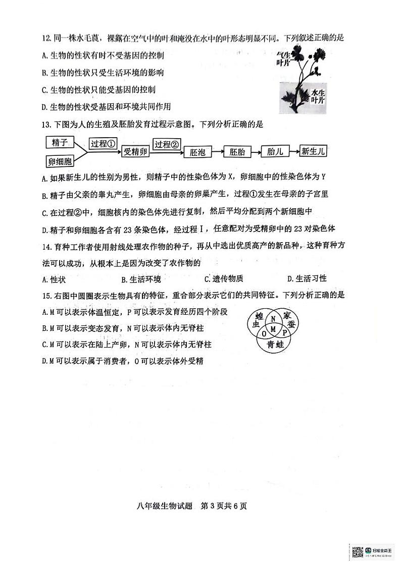山东省泰安市东平县2023-2024学年八年级上学期生物期末试题03