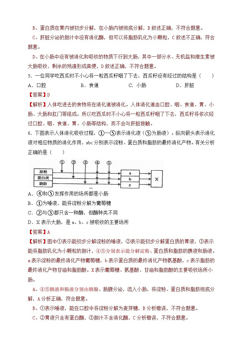 4.8.2 食物的消化和营养物质的吸收 ）（解析版）第3页