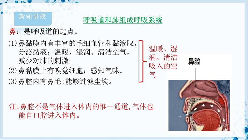 4.10.2 人体细胞获得氧气的过程第5页