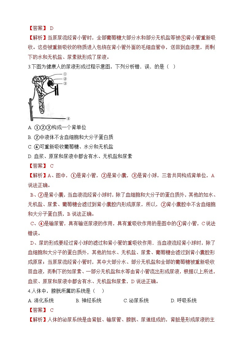 【北师大版】七下生物 4.11.2 尿的形成与排出（课件+学案+练习）02