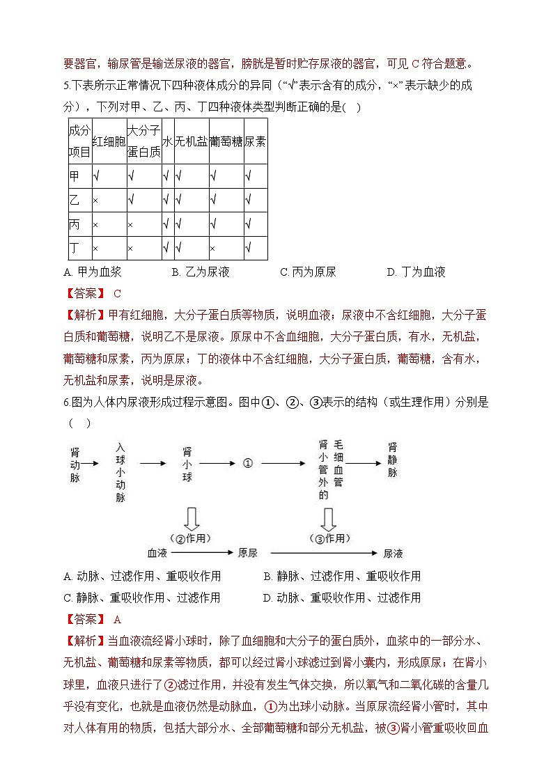 【北师大版】七下生物 4.11.2 尿的形成与排出（课件+学案+练习）03