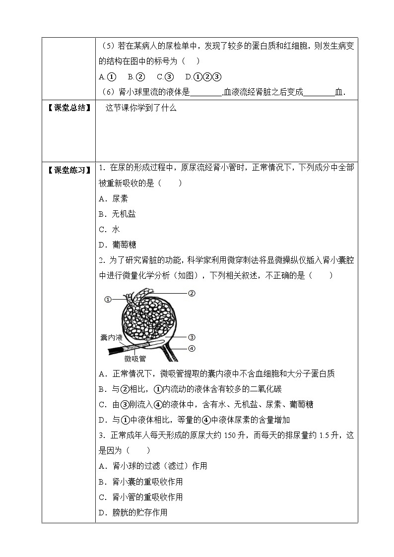【北师大版】七下生物 4.11.2 尿的形成与排出（课件+学案+练习）03