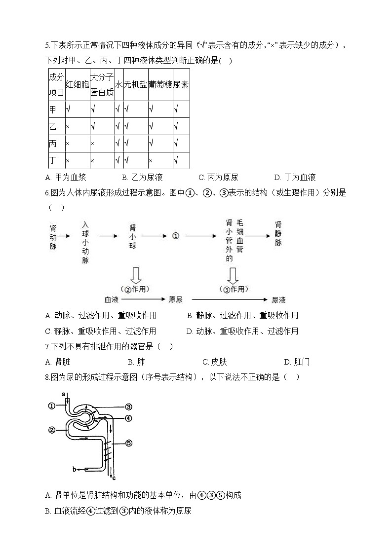 【北师大版】七下生物 4.11.2 尿的形成与排出（课件+学案+练习）02