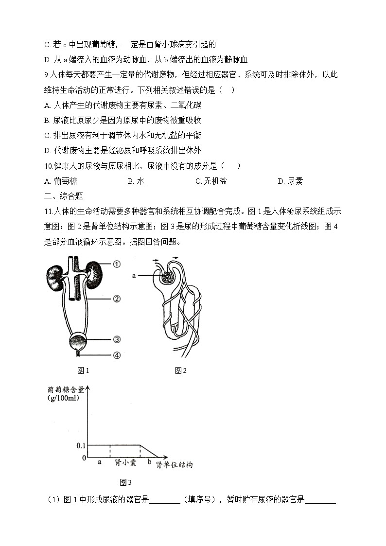 【北师大版】七下生物 4.11.2 尿的形成与排出（课件+学案+练习）03