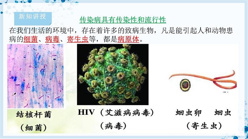 【北师大版】七下生物 4.13.2 预防传染病（课件+学案+练习）06