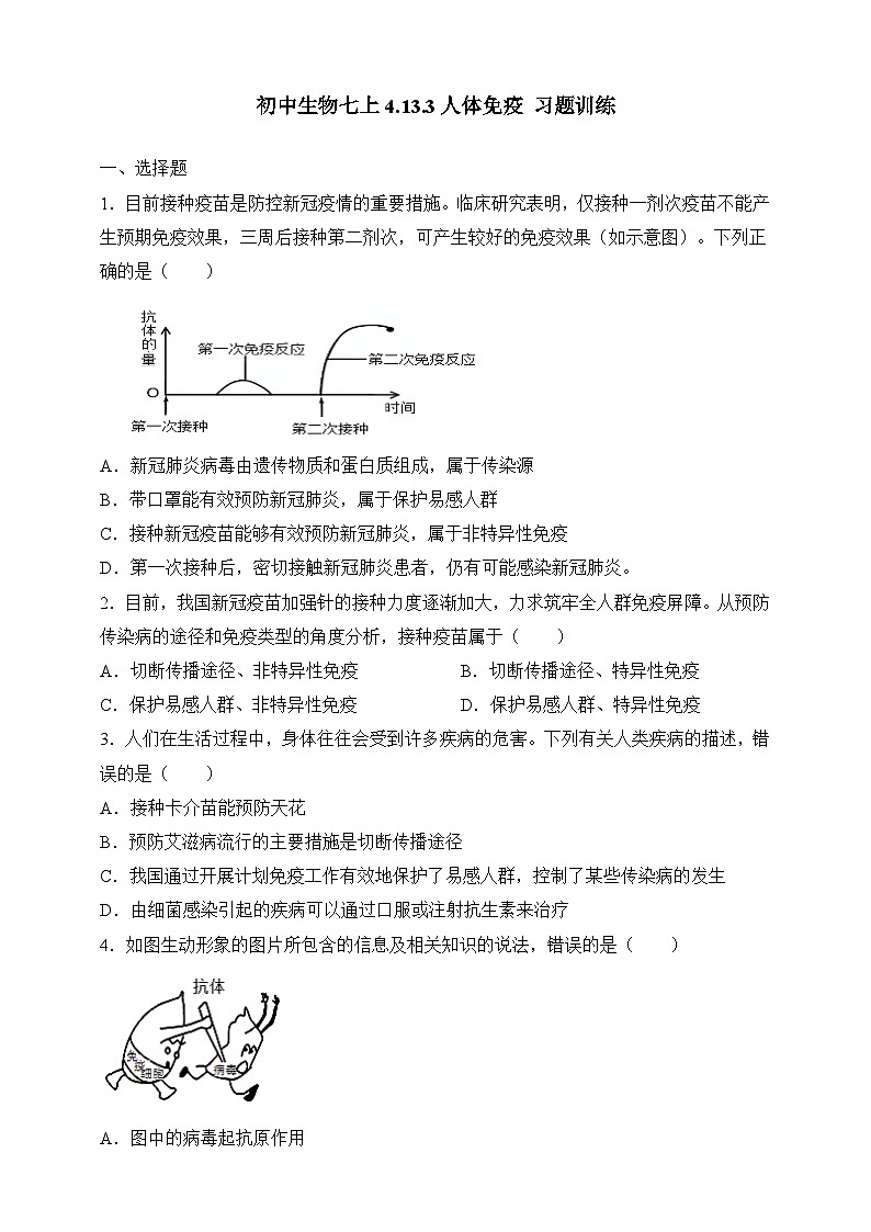 【北师大版】七下生物 4.13.3 人体免疫（课件+学案+练习）01
