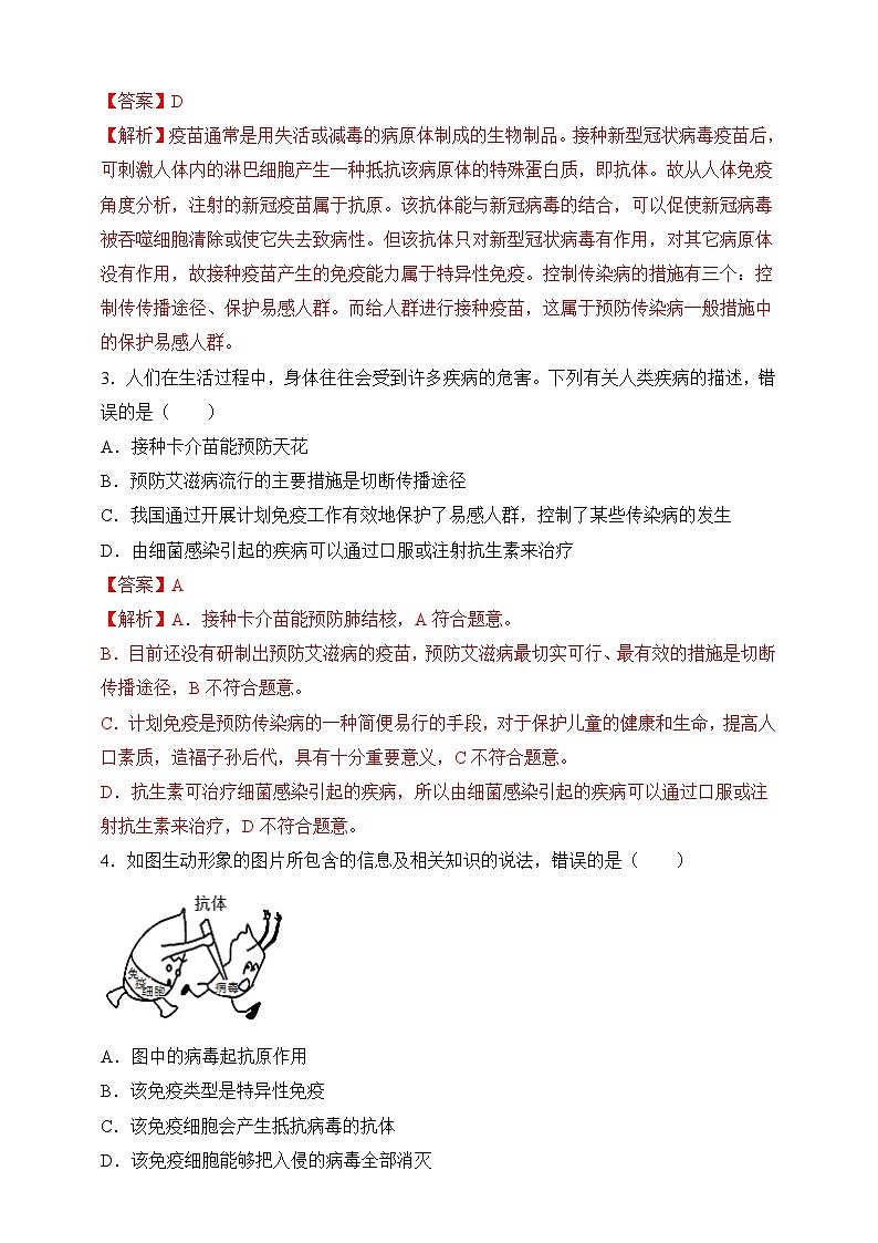 【北师大版】七下生物 4.13.3 人体免疫（课件+学案+练习）02