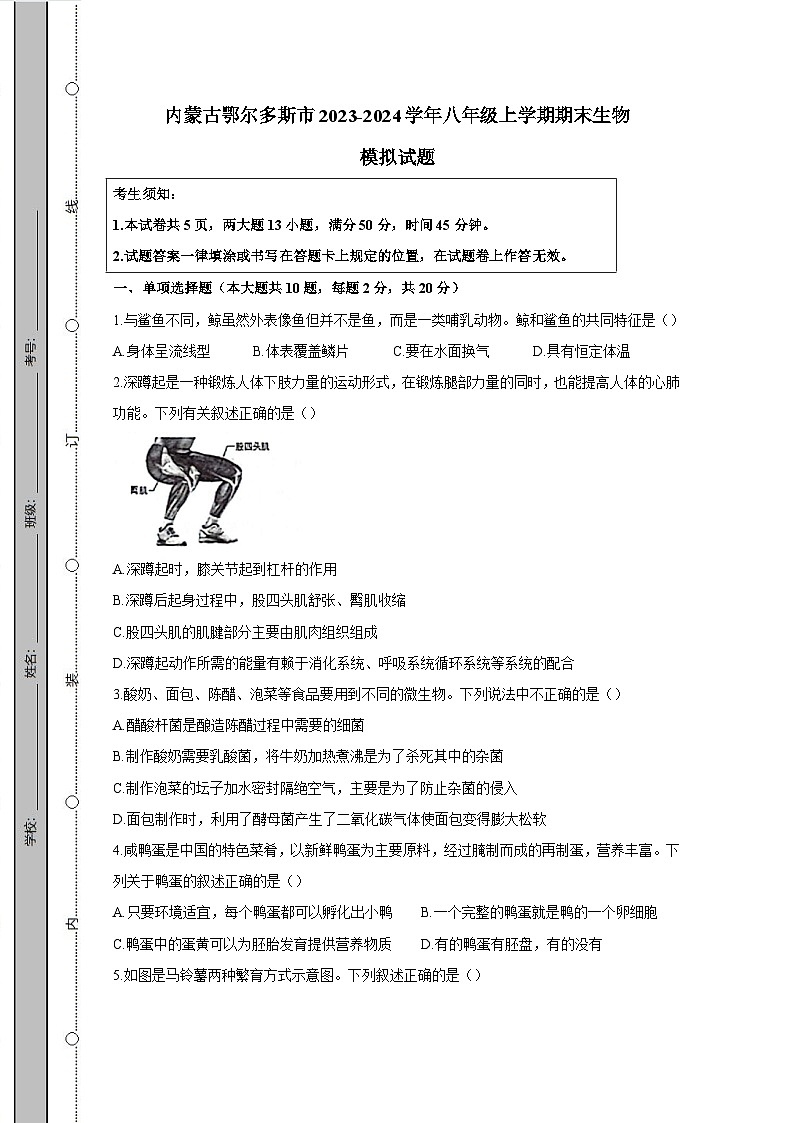 内蒙古鄂尔多斯市2023-2024学年八年级上学期期末生物模拟试题（含答案）01