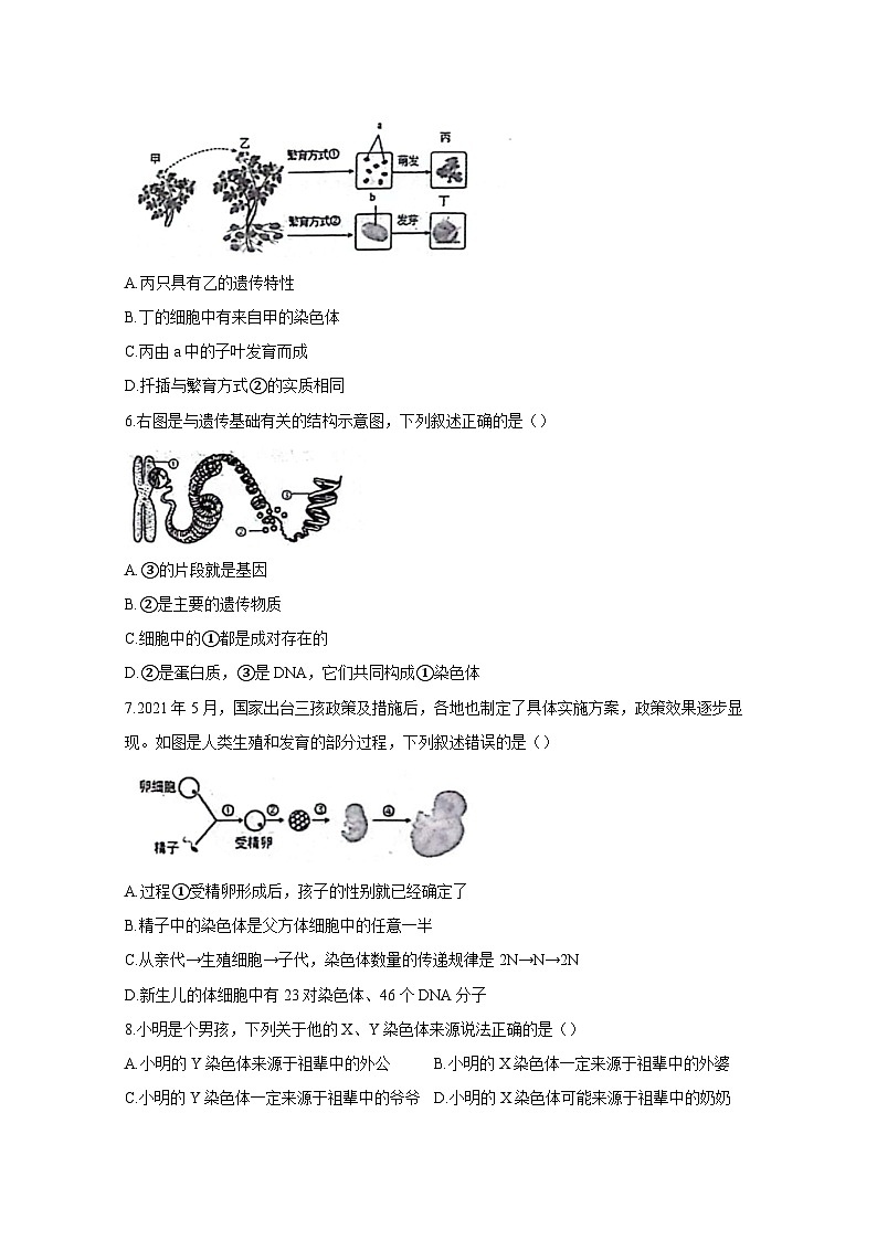 内蒙古鄂尔多斯市2023-2024学年八年级上学期期末生物模拟试题（含答案）02