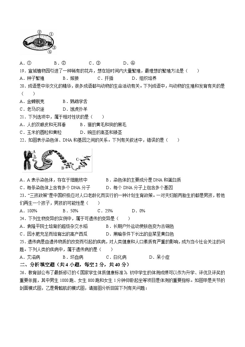 安徽省宣城市2023-2024学年八年级上学期期末考试生物试题第3页