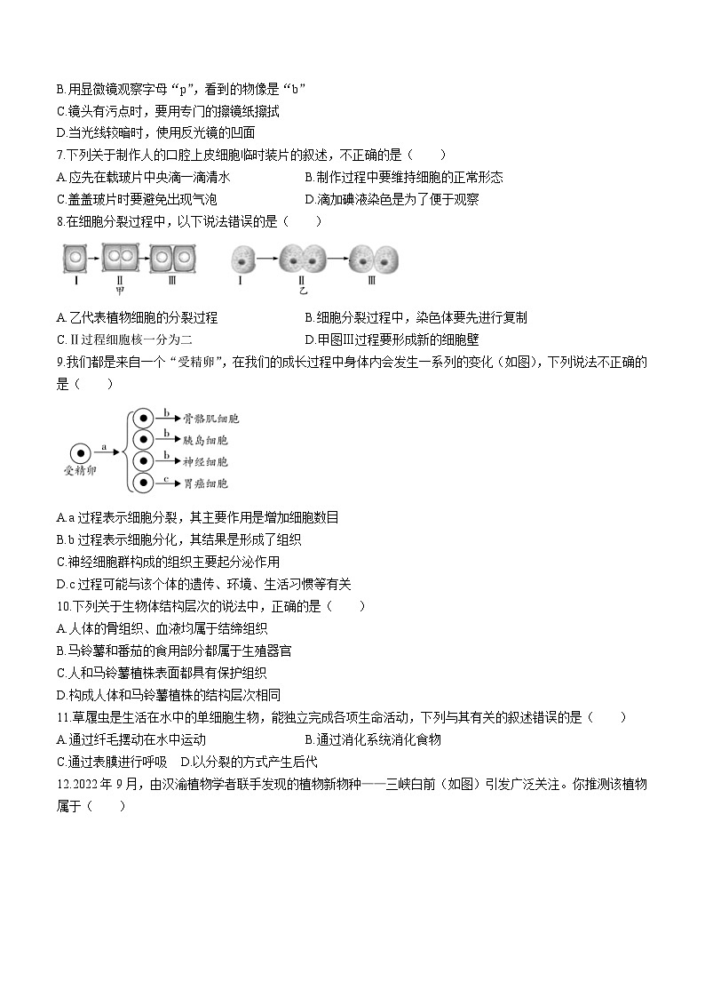 贵州省安顺市安顺经济技术开发区2023-2024学年七年级上学期期末生物试题(无答案)第2页