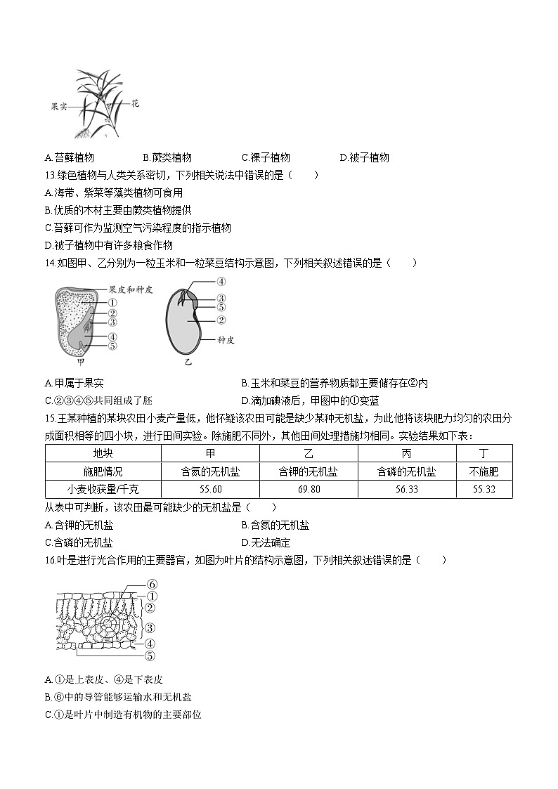 贵州省安顺市安顺经济技术开发区2023-2024学年七年级上学期期末生物试题(无答案)第3页