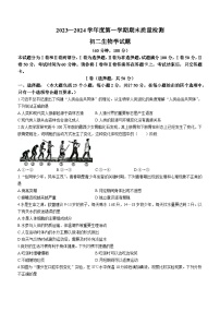 山东省烟台市牟平区2023-2024学年七年级上学期期末考试生物试题