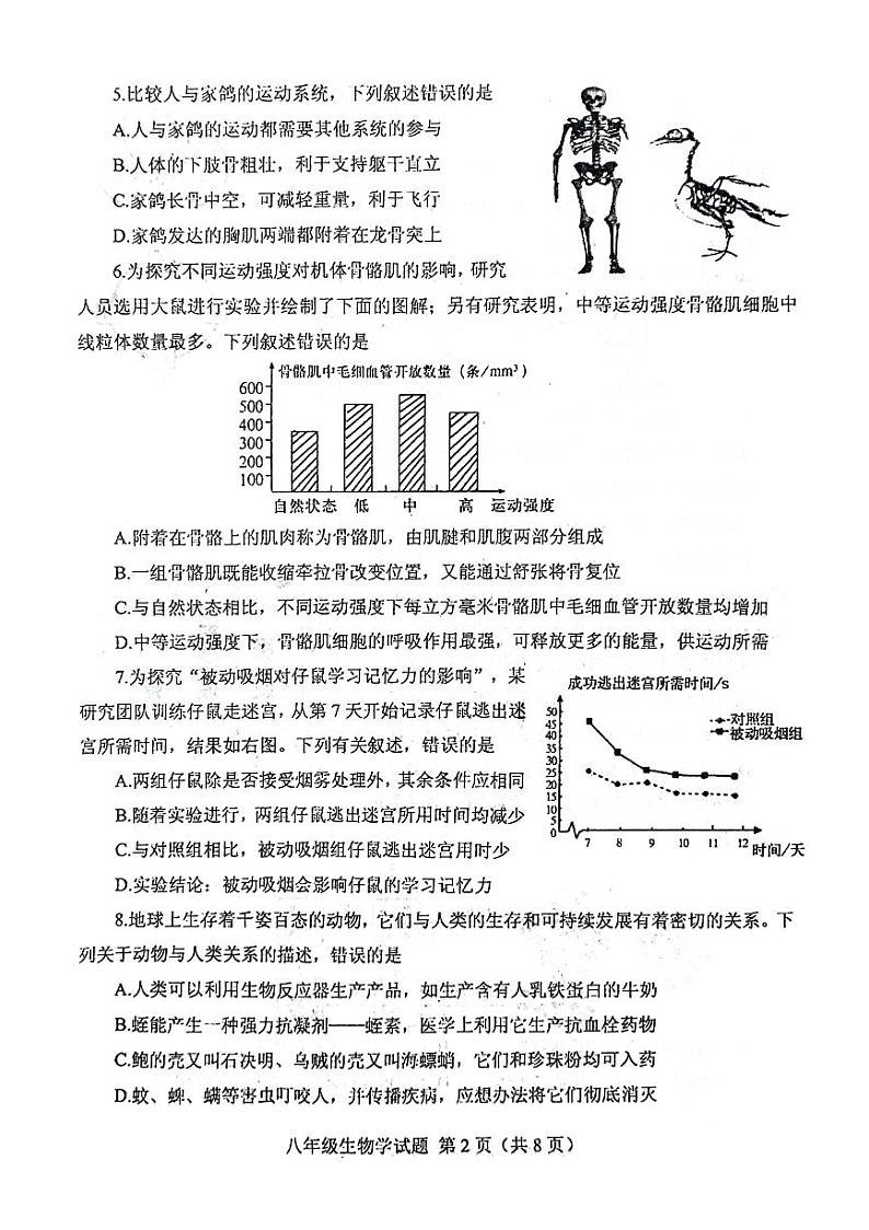 山东省泰安市肥城市2023-2024学年八年级上学期期末考试生物学试题02