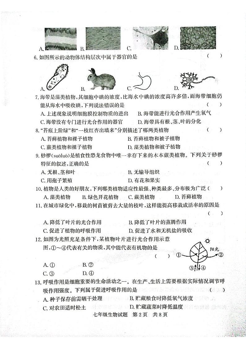 山东济宁泗水县2023-2024学年七年级上学期期末生物学试题第2页