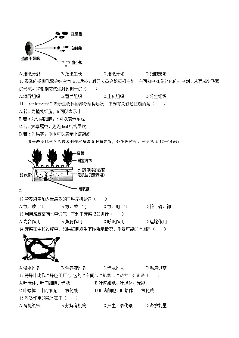 福建省泉州市南安市2023-2024学年七年级上学期期末生物试题02