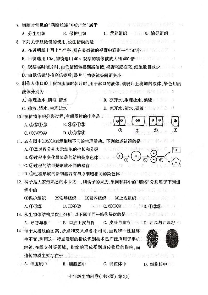 山东省聊城市阳谷县2023-2024学年七年级上学期期末生物试题02