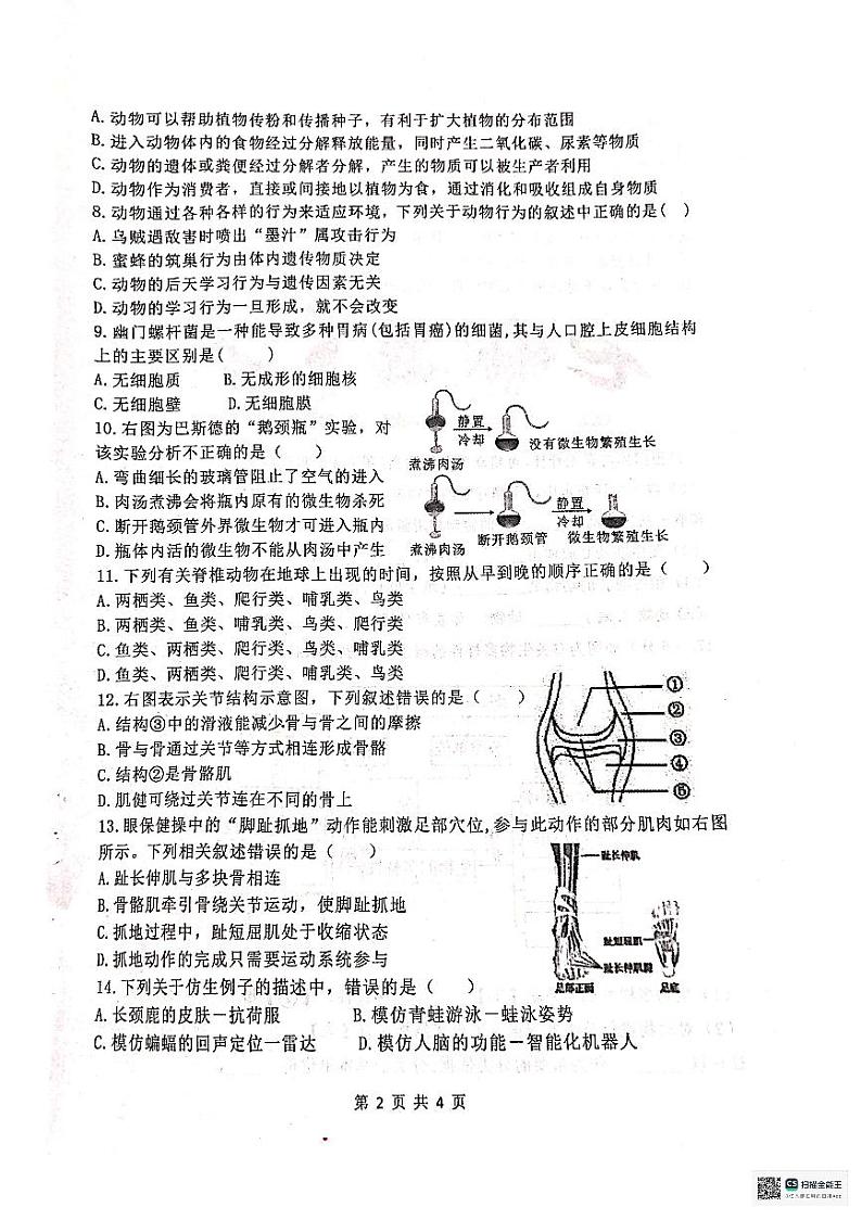 河北省沧州市献县2023-2024学年八年级上学期期末生物试题第2页