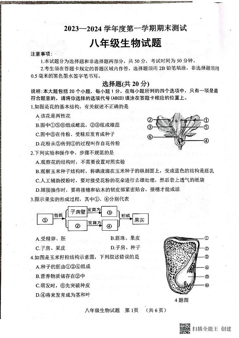 山东省菏泽市东明县2023-2024学年八年级上学期期末生物试题01