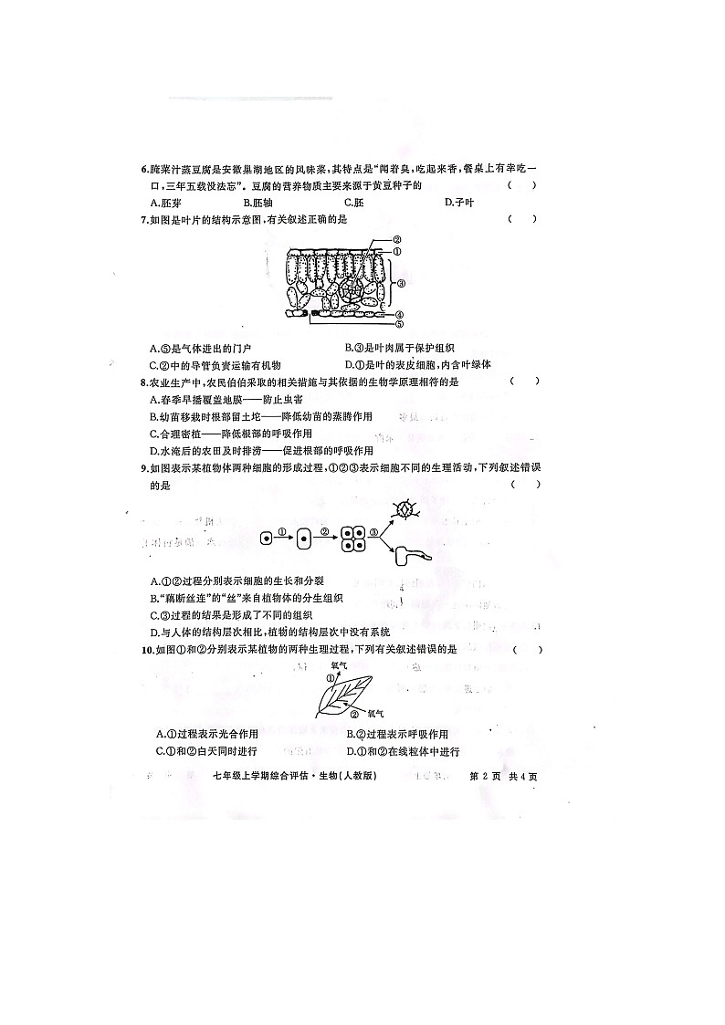 安徽省亳州市利辛县2023-2024学年七年级上学期期末生物试题第2页