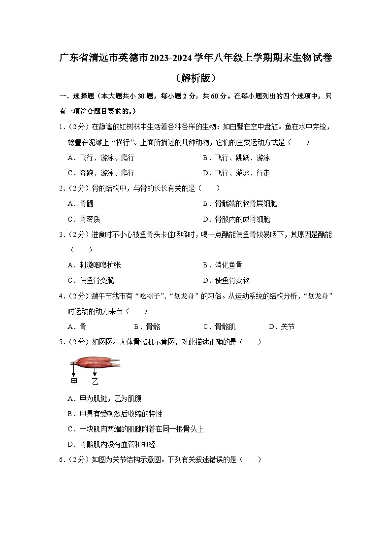 广东省清远市英德市2023-2024学年八年级上学期期末生物试卷+01
