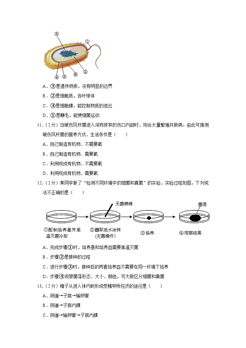 广东省清远市英德市2023-2024学年八年级上学期期末生物试卷+03