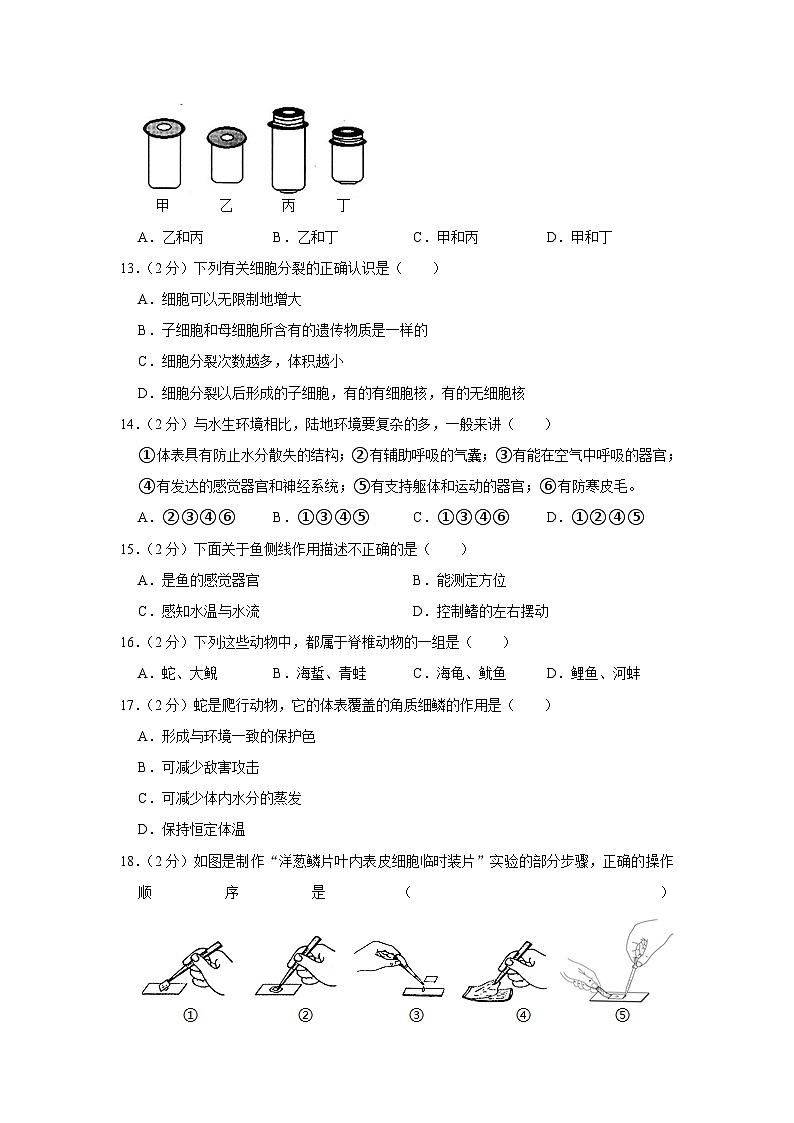 河北省唐山市古冶区2023-2024学年七年级上学期期末生物试卷+03