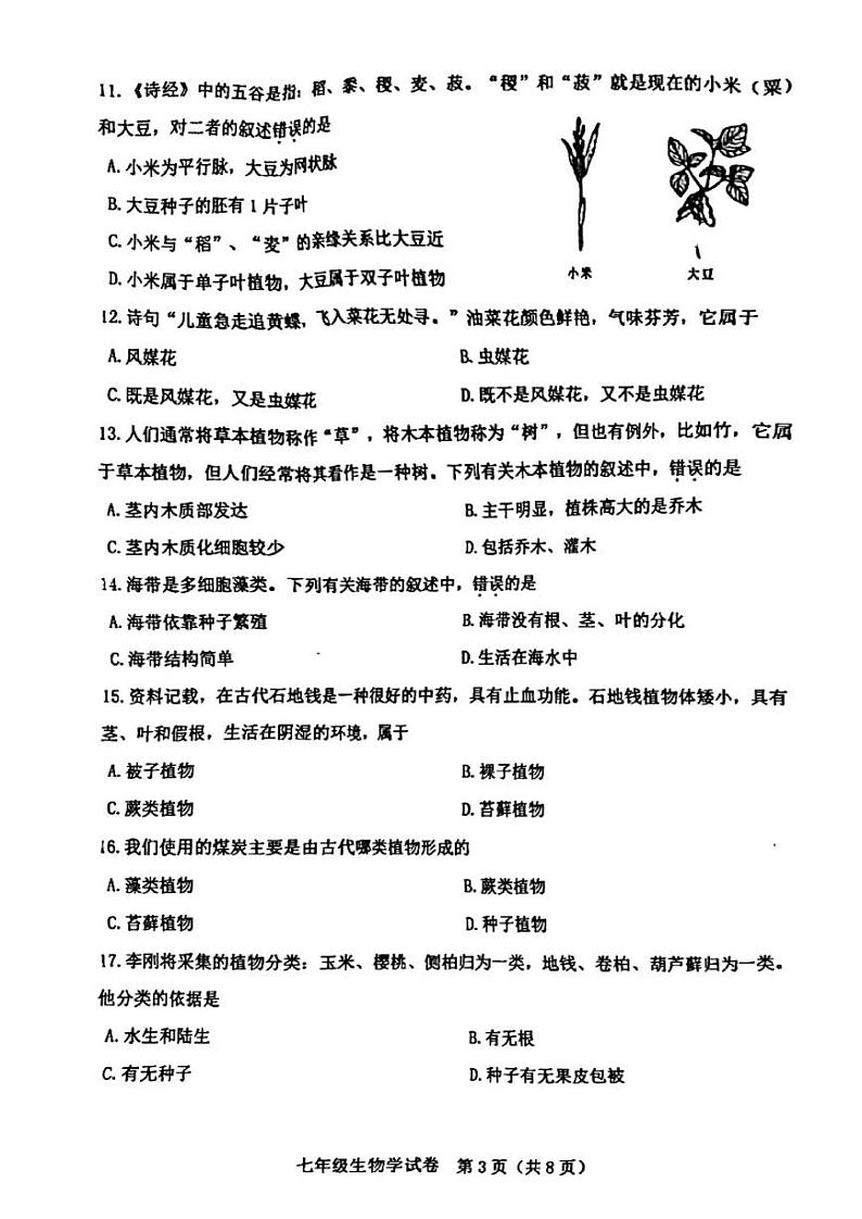 河北省石家庄市桥西区2023-2024学年七年级上学期期末生物卷03