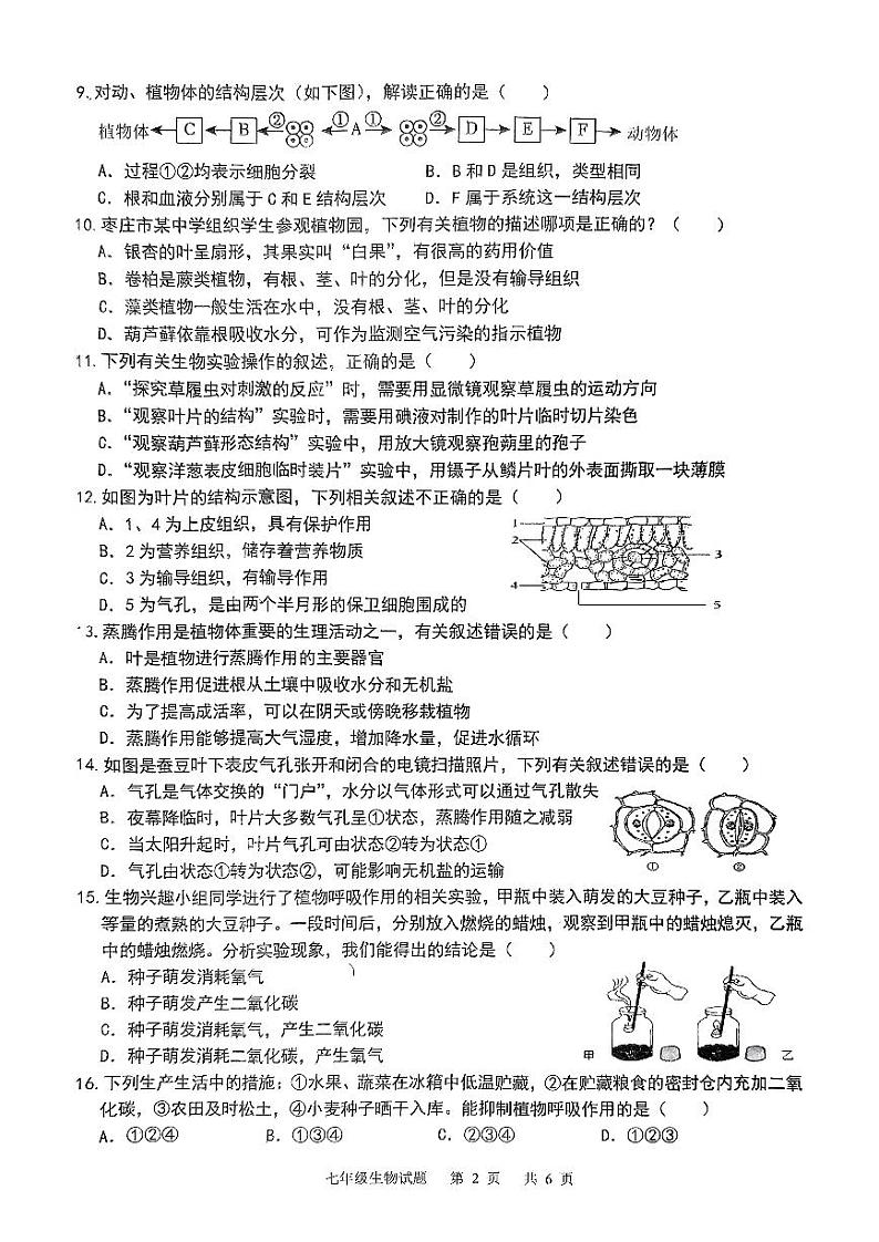 山东省枣庄市2023-2024学年七年级上学期期末生物试题02