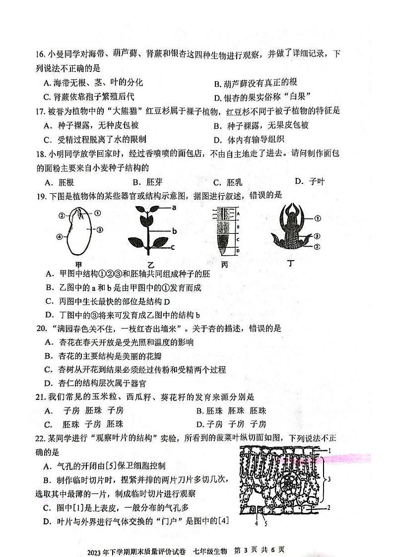 湖南省邵阳市邵东市2023-2024学年七年级上学期期末生物学试题03